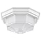 Nuvo LED Spider Cage Fixture, White Finish with Frosted Glass 62/1399 - alternate 1